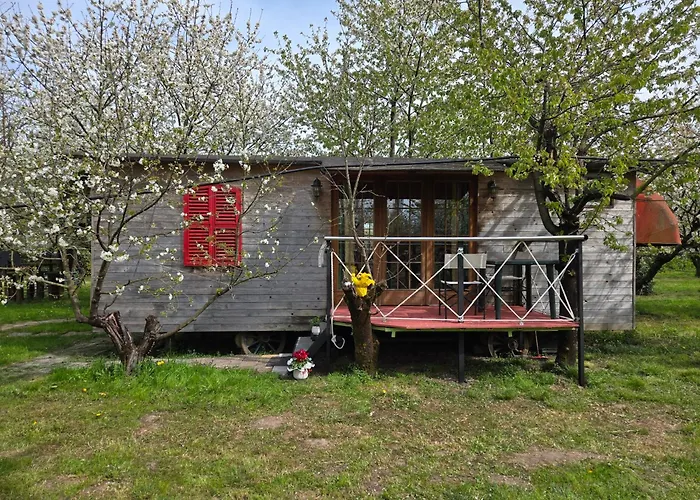 Terrebio Kemping Visnadello